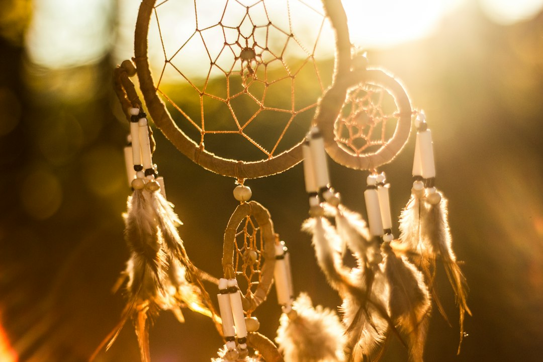 Biblical interpretation of dreams and visions by Dream and Meaning dream catcher