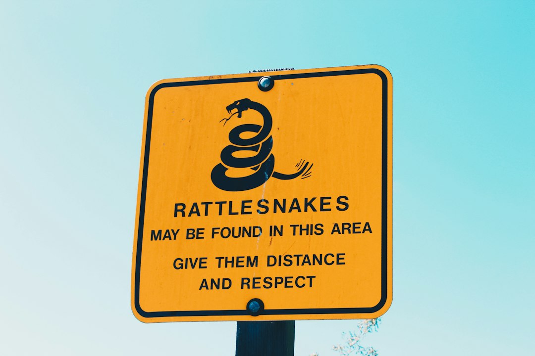 Rattlesnakes by Dream and Meaning Rattlesnakes may be found in this area give them distance and respect signage