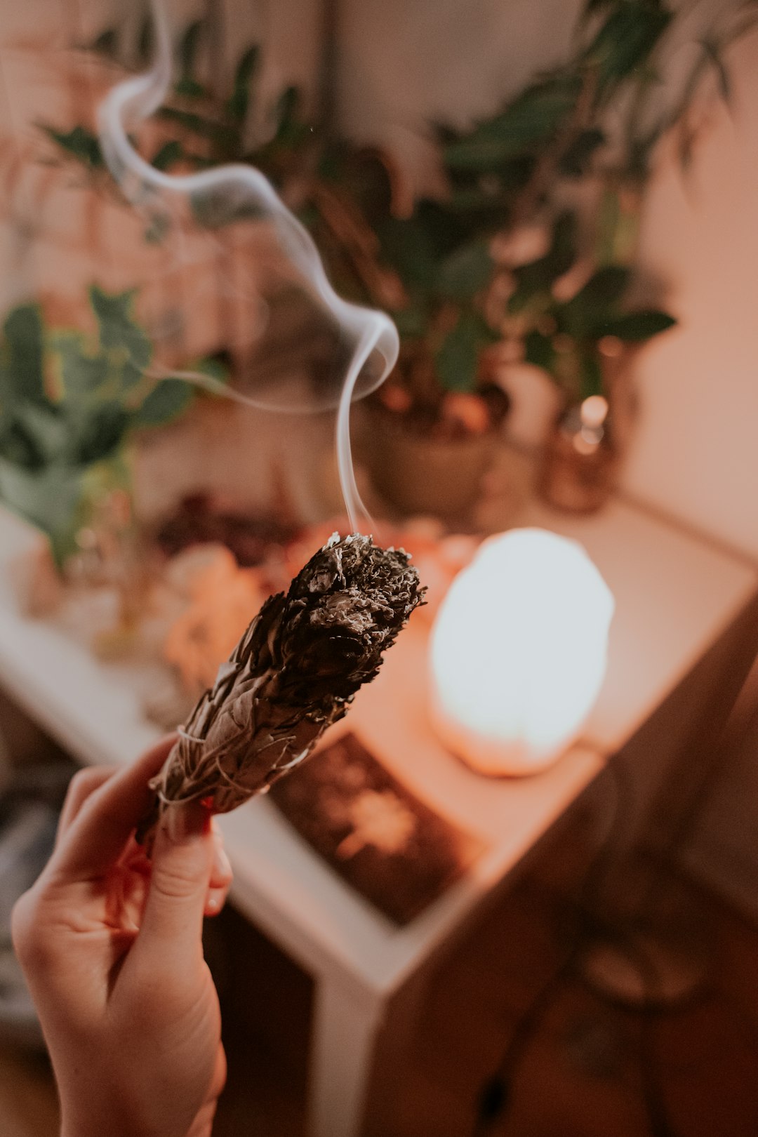 Sage Spirituality - All pictures edited with my presets that you can find on my website in BIO by Dream and Meaning brown tobacco
