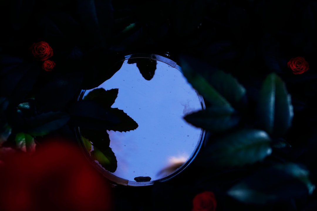 Doing a photo challenge every week. This week - reflections. by Dream and Meaning round mirror in between red and green plants