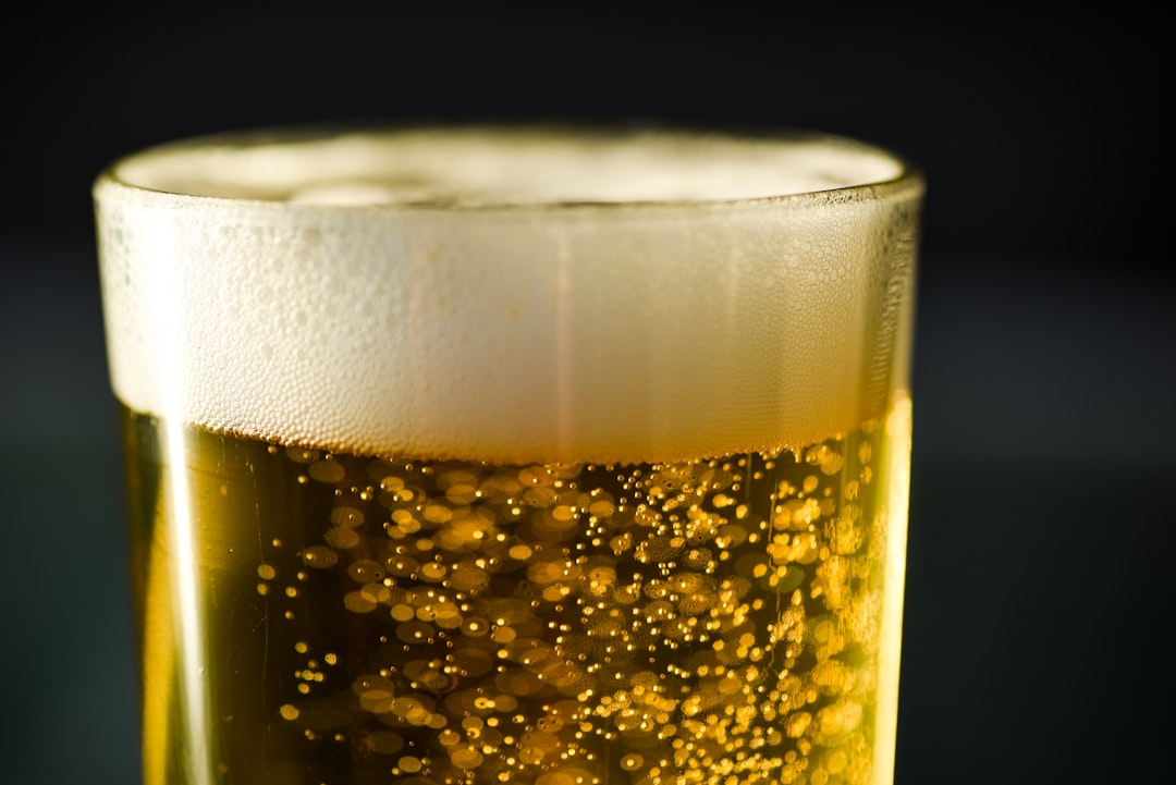 The co2 bubbles in a glass of lager. by Dream and Meaning clear drinking glass with beer