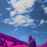 Featured image for Do Your Dreams Mean Anything 25 Surprising Insights for 2025