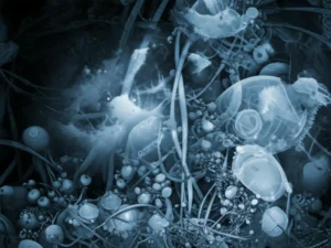 Featured image for Unlocking Dreams 12 Surprising Ways They Fuel Personal Growth 2025